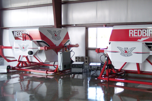Redbird Custom Paint